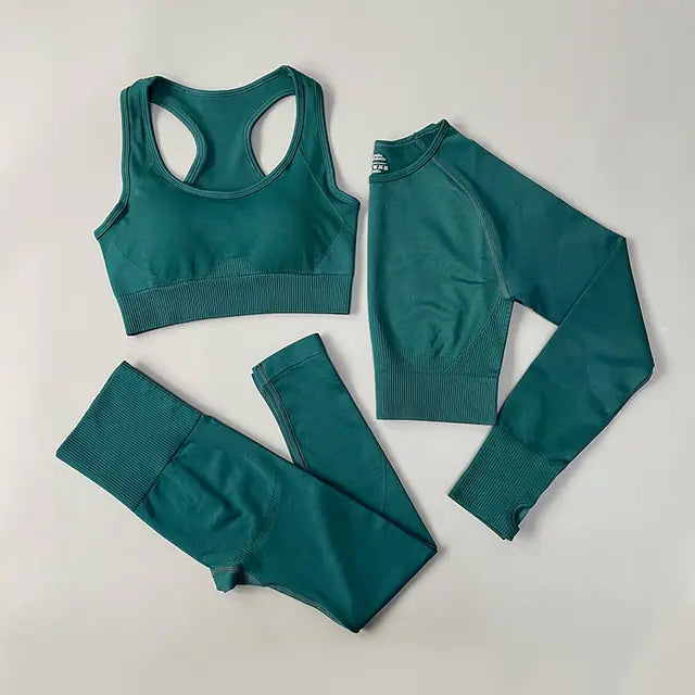 Dolce Vani Fitness 2/3/4PCS Seamless Women Yoga Set Workout