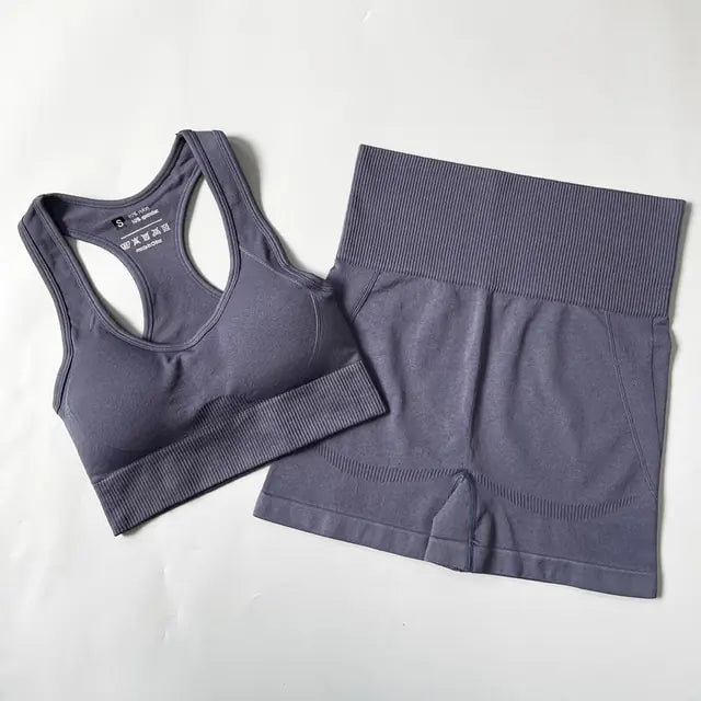 Dolce Vani Fitness 2/3/4PCS Seamless Women Yoga Set Workout