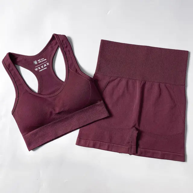 Dolce Vani Fitness 2/3/4PCS Seamless Women Yoga Set Workout