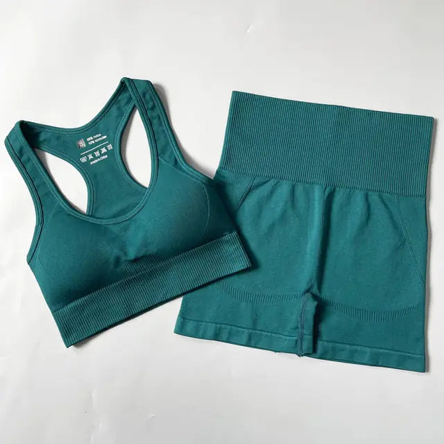 Dolce Vani Fitness 2/3/4PCS Seamless Women Yoga Set Workout